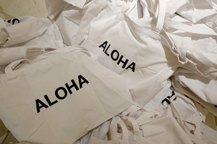 Mikoh 2016 Presentation at SWIMMIAMI - Backstage