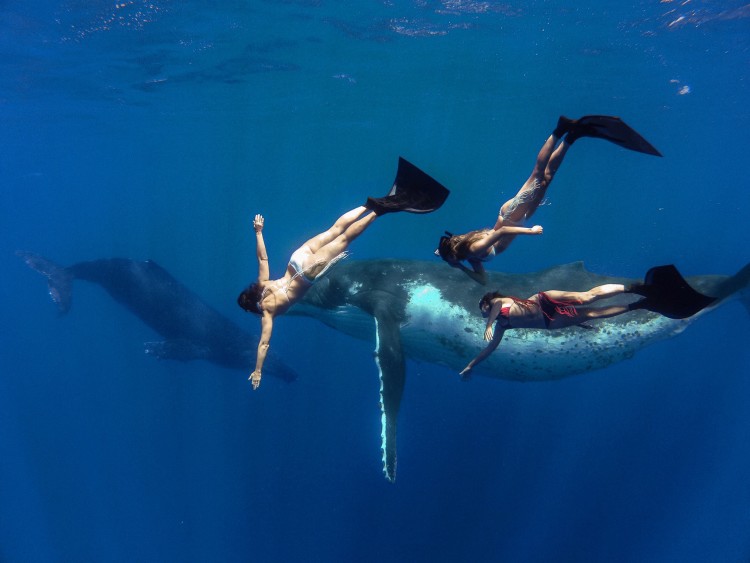 1277675_10151838027401919_1207782357_o-1